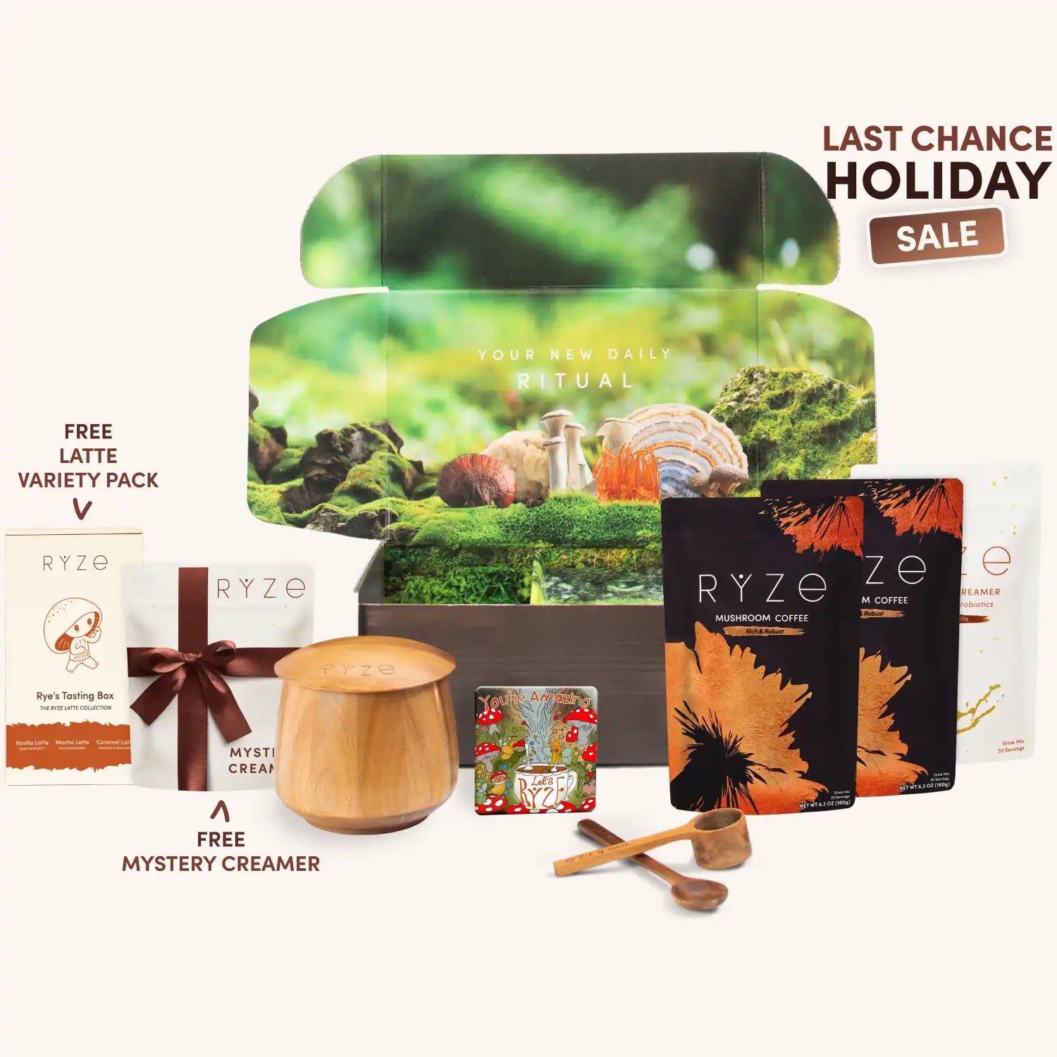 English.last.chance.holiday.sale.cart.mushroom-coffee-ritual-set-dr_compressed_f3c76d2b-3906-4399-a3ce-f31017b72181