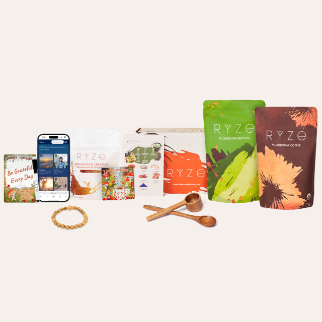 MushroomCoffee-AllDayEnergyBundle