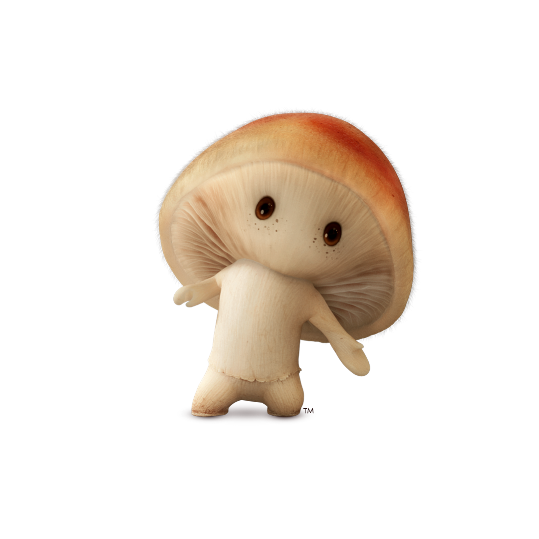 Rye-TM-3D-Pointing-Down